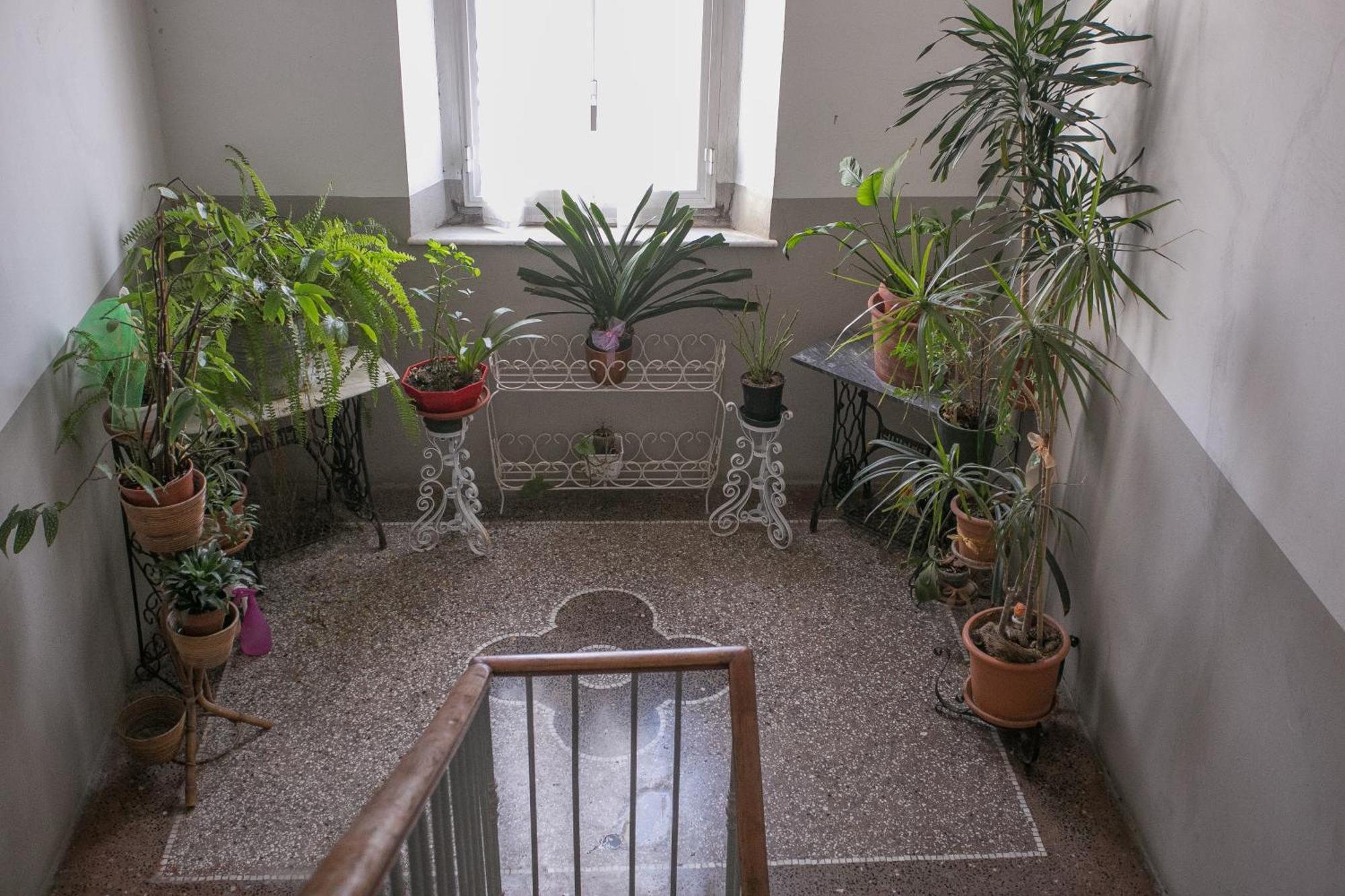La Finestra Sul Mare B&B Livorno Zewnętrze zdjęcie